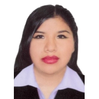Ayde Illa Condori