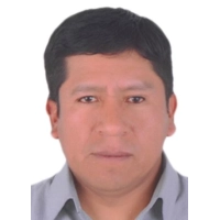 David Luis Vivanco Hinostroza