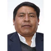 Lizandro David Quispe Mamani