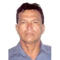 Parsish Falcon Babilonia