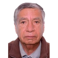 Porfirio Fernando Villon Sotelo