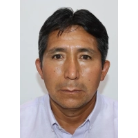 Wilfredo Elias Castillo Flores