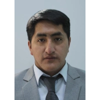 Willyam Clinton Ricaldi Villajuan