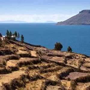 Amantani