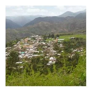 Canaria