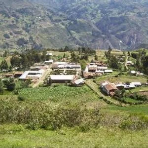 Cashapampa