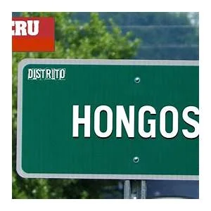 Hongos