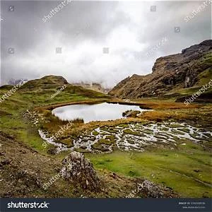 Lares