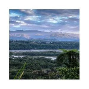 Morona
