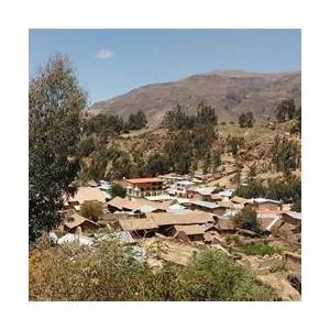 Oyolo