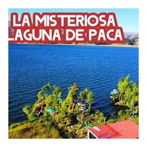 Paca