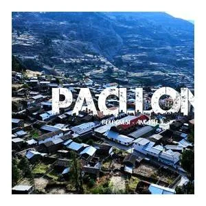 Pacllon