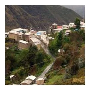 Patambuco