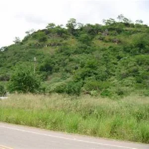 Pucacaca
