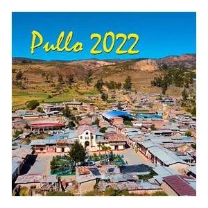 Pullo