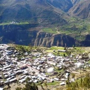 Puyca