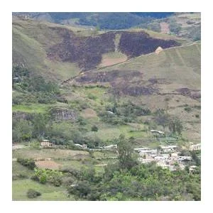 Querocoto