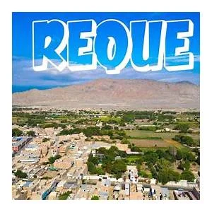 Reque