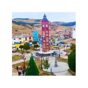 Rosaspata