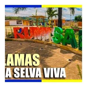 Rumisapa