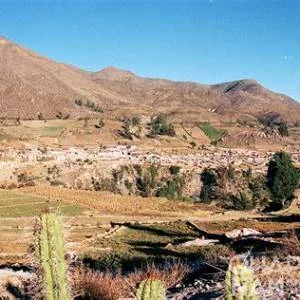 Ticaco