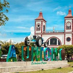 Toro