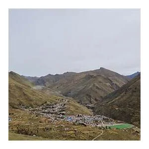 Usicayos