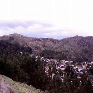 Virundo