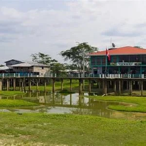 Yavari